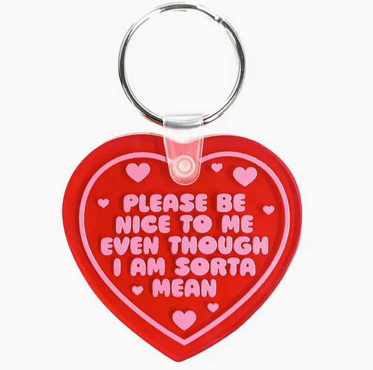 Please Be Nice To Me Heart Shaped Vinyl Keychain