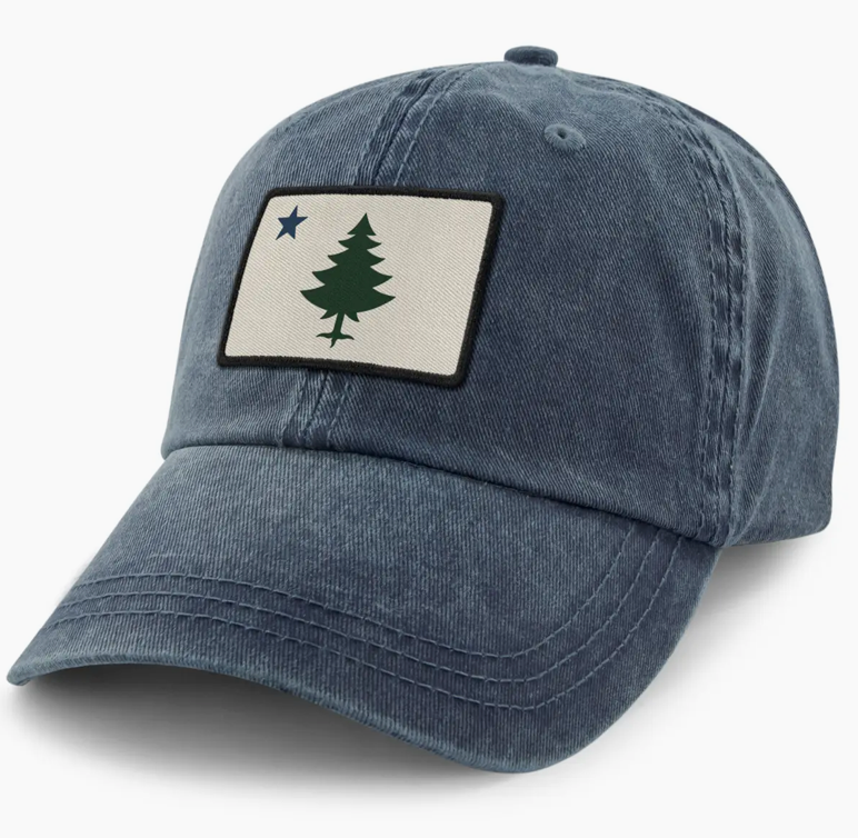 Vintage Maine Flag Dad Hat