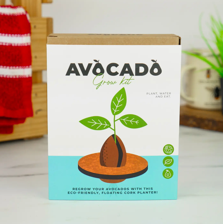 Avocado Grow Kit