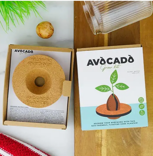 Avocado Grow Kit